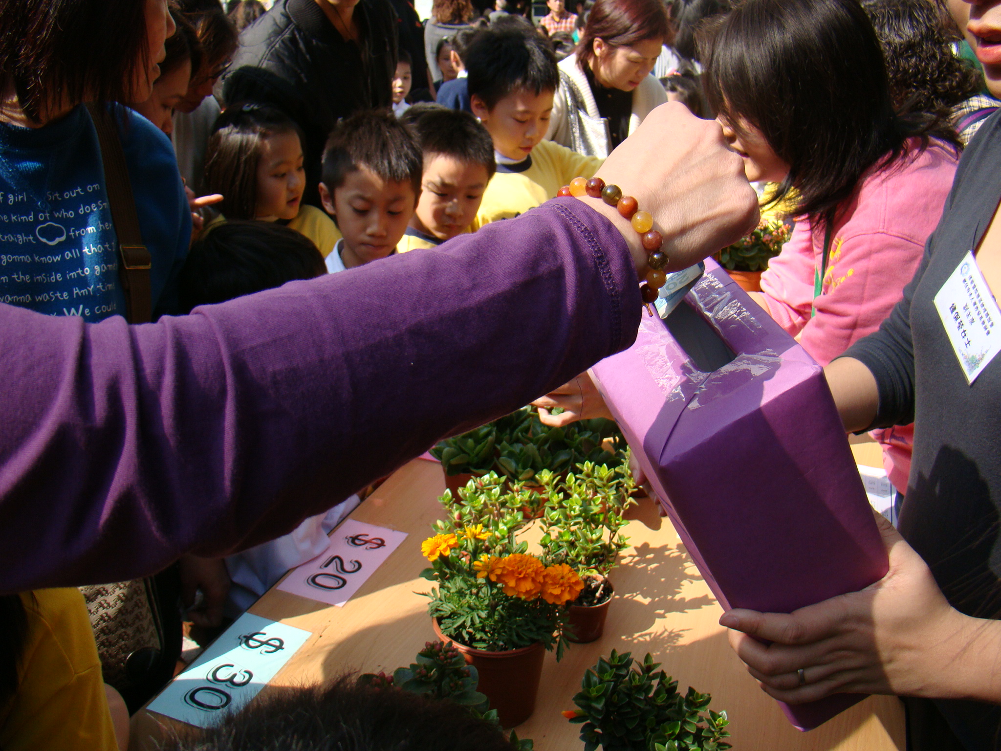 Image 54 of 70  -  1256 kB
